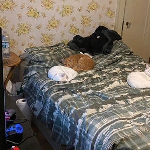 Meet your Posher, Desiree